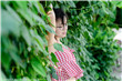 给她下药疯狂占有她H