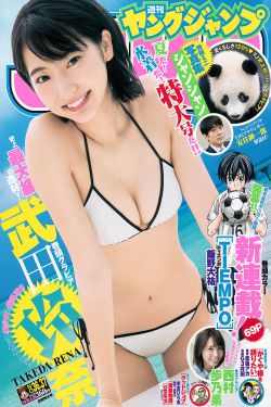 大地资源在线影视播放