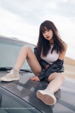 大英雄狄青